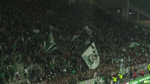 Geoffroy-Guichard Fans GIF by AS Saint-Étienne