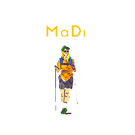 Walk Bee Sticker by MaDi Brasil