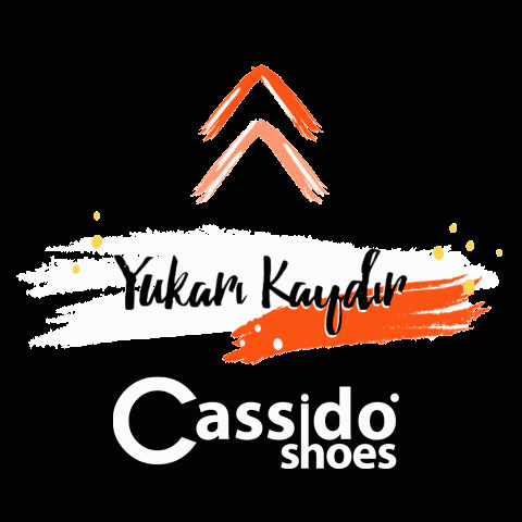 Yukarı GIF by Cassido Shoes