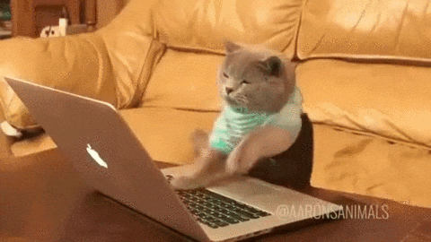 Community Manager