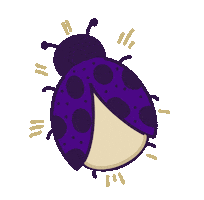 Lady Bug Spring Sticker by James Madison University