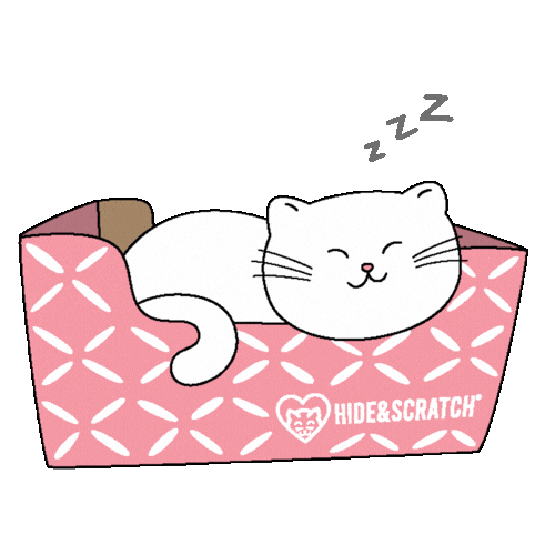 If I Fits I Sits White Cat Sticker by Hide & Scratch