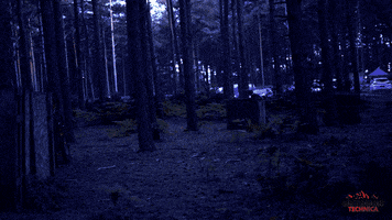 Digital GIF