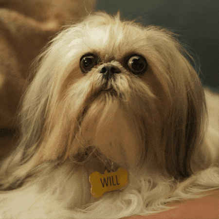 Scared Oh No GIF by Kellogg's