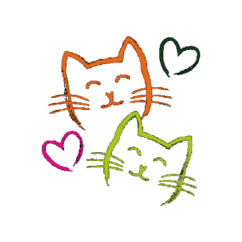 Cats Gatos Sticker by Yrisribeiiro