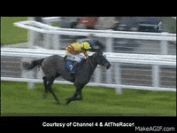 Ascot Racecourse Gif Find Share On Giphy Ascot Racecourse Gif Find Share On Giphy