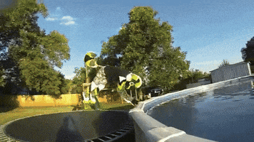 tails  GIF