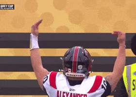 Montreal Cfl GIF