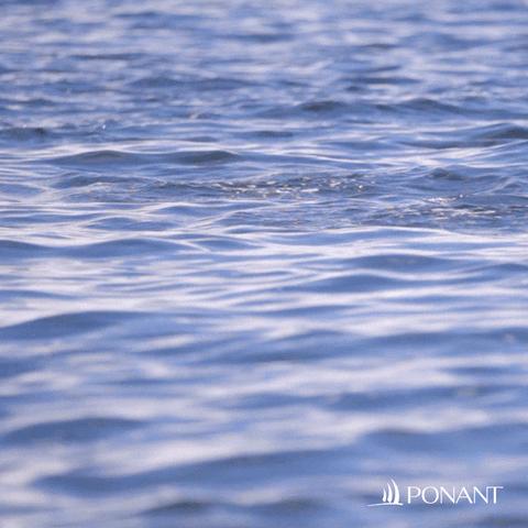Water Swimming GIF by PONANT