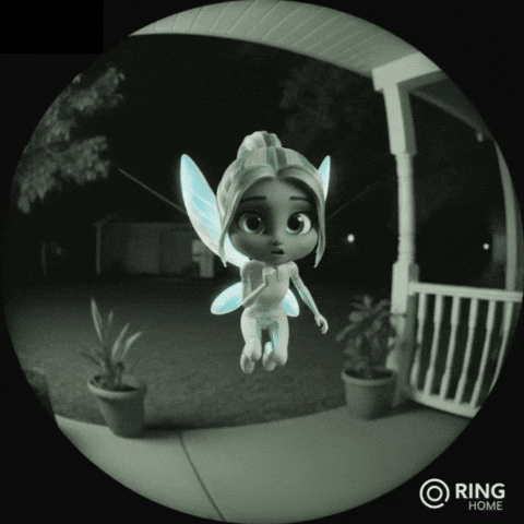 GIF by Kiki the Tooth Fairy