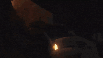 Call Of Duty Zombies GIF