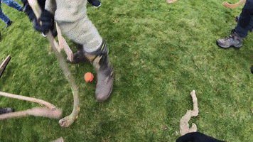 200.gif?cid=fc005b08eb5cd9f37386afa6f8f0334f663854a1c8f77a28&rid=200.gif&ct=g