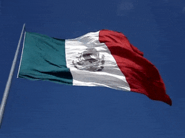 Viva Mexico GIF by gobiernozac