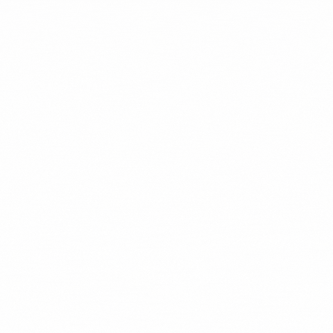 starryfoundation GIF