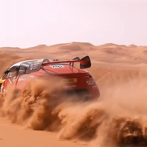 Desert Rally GIF by Red Bull