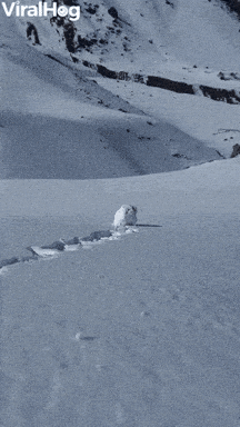 Snow Snowball GIF by ViralHog