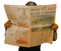 Tiger-Cats Cfl Sticker by Hamilton Sports Group