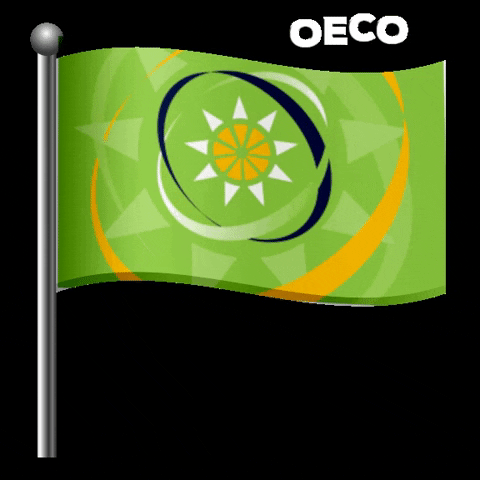 Oeco GIF by OECS Commission