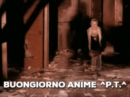 pussy t. #p GIF