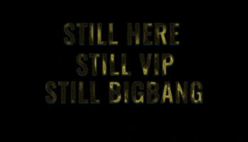 Bigbang Vip GIF