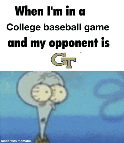 Georgia Tech Baseball GIF