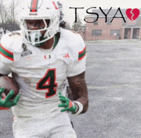 Miami Hurricanes GIF