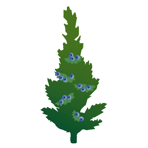 AmbergSulzbacherLand Sticker