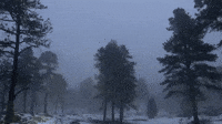 Freezing Fog and Snow Create 'Magic' Scene on Colorado Trail