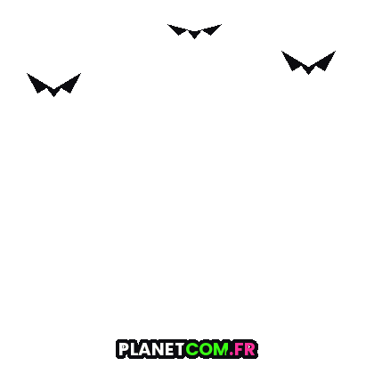 France Party Sticker by PLANETCOM.FR