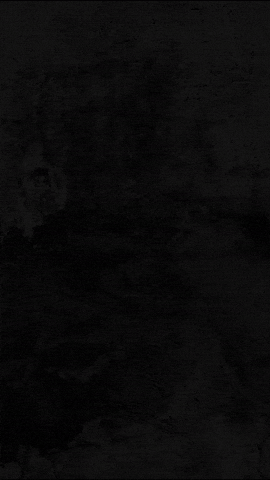 Realtor Realestate GIF by rogeclipse