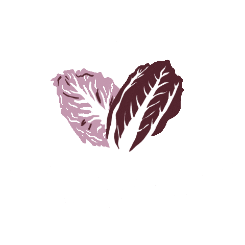 Vermont Chicory Sticker