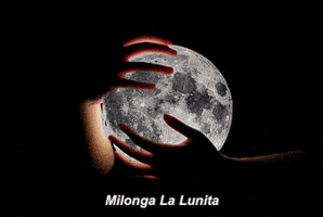 vla  GIF