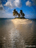 Island GIFs - Find & Share on GIPHY