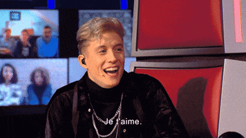 I Love U Loicnottet GIF by The Voice Belgique