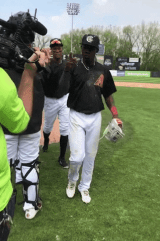 high fives cougars win GIF by Kane County Cougars