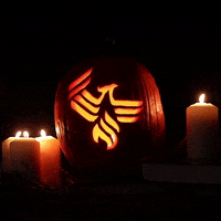 Jack O Lantern Halloween GIF by University of Phoenix