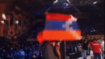 Armenian Flag Armenia GIF by Yerevan