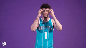 Basketball Omg GIF by Charlotte Hornets