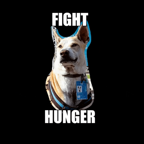 United Nations Dog GIF by WFP Freerice