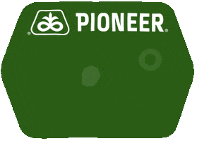 PioneerSemillas pioneer semillas pioneer argentina hechoparacrecer GIF