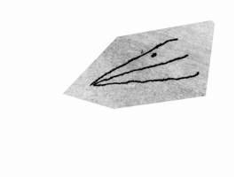Animation GIF