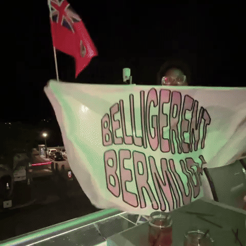 Belligerent Bermuda GIF