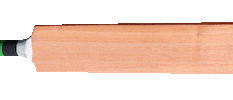 Cricket Sticker by New Horizons Alliance