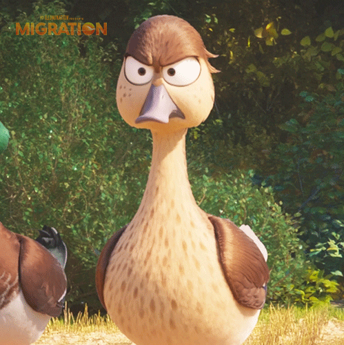 MigrationMovie angry duck marriage proposal GIF