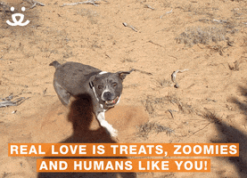 Save Them All I Love You GIF by Best Friends Animal Society