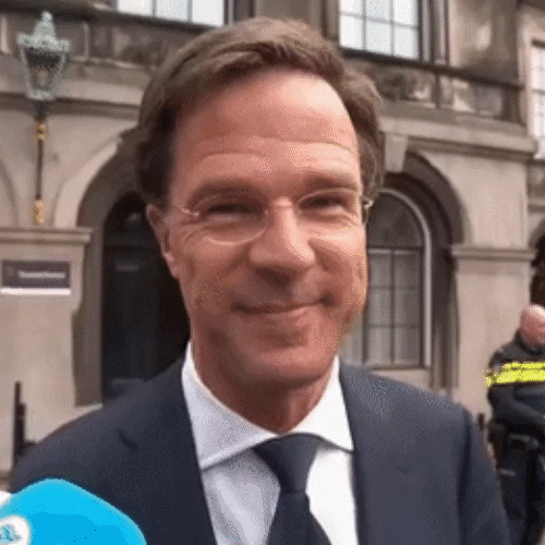 Good Hair Day GIF door VVD