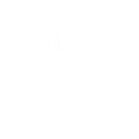 Summer Sale Sticker by smilodox.com