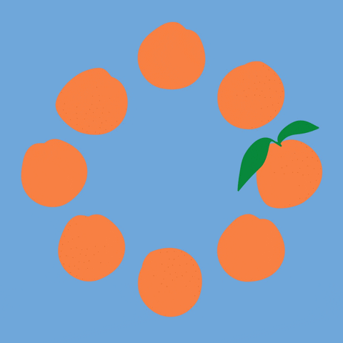 Fruit Colour GIF