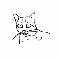 Cat Wow GIF by butpoorlydrawn