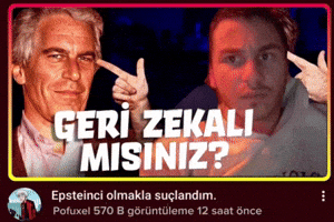 Epstein Evrim GIF